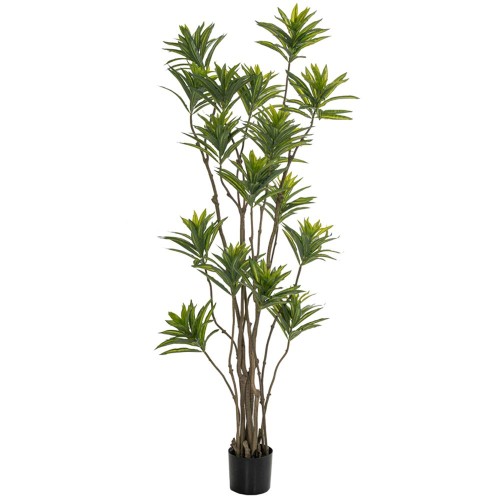 Φυτό bamboo 180εκ. σε μαύρη πλαστική γλάστρα 