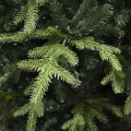 Δέντρο Slim Fir 180εκ Δέντρο Slim Fir 180εκ