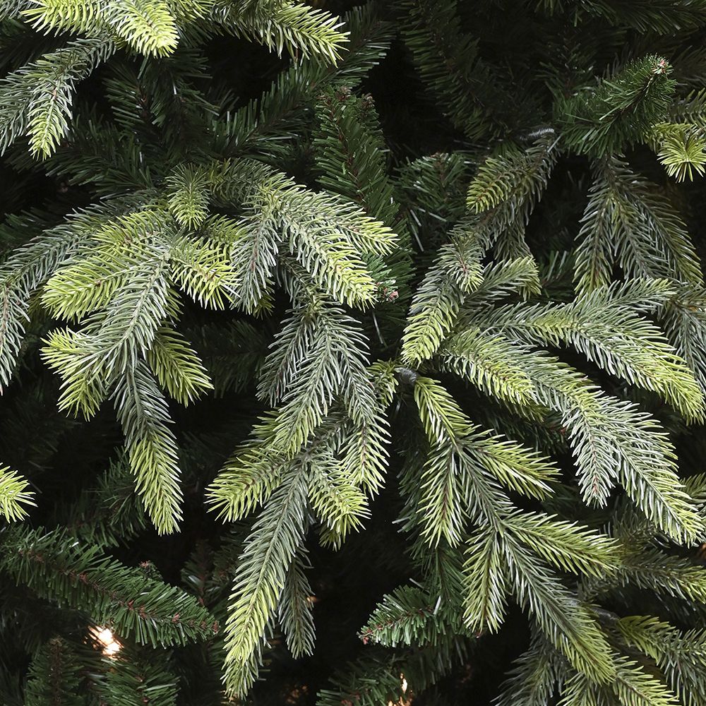 Δέντρο Fraser Fir 240εκ