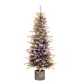 Δέντρο Pre Lit Iceland Potted Fir 180cm 180Led RGB λευκά και πολύχρωμα Δέντρο Pre Lit Iceland Potted Fir 180cm 180Led RGB λευκά και πολύχρωμα