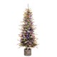 Δέντρο Pre Lit Iceland Potted Fir 150cm 100Led RGB λευκά και πολύχρωμα