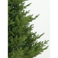 Δέντρο Starley Spruce 2,70cm. Δέντρο Starley Spruce 2,70cm.