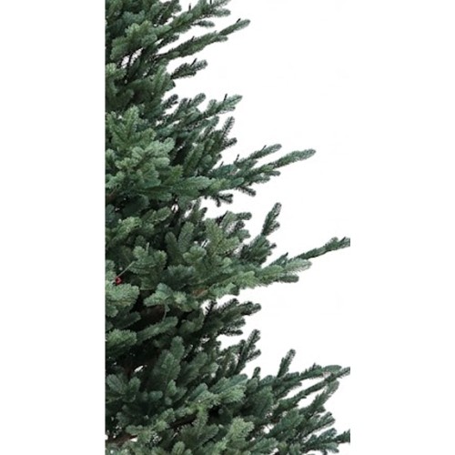 Δέντρο Vienna Spruce 2,10cm