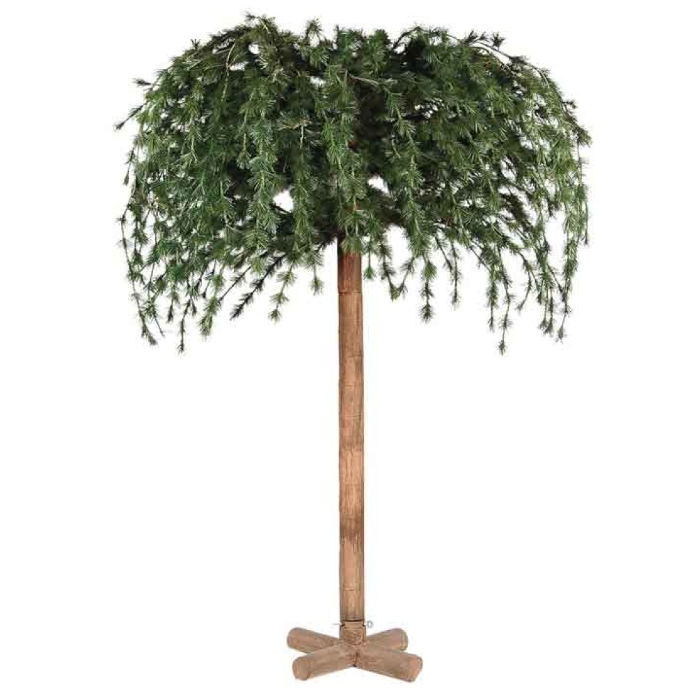 Δέντρο umbrella tree 2,40cm. Δέντρο umbrella tree 2,40cm.