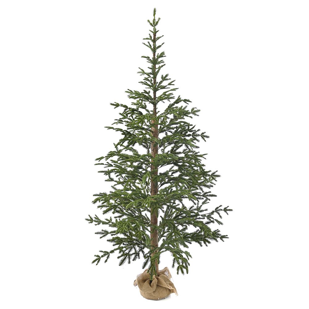 Δέντρο Angel Pine 240εκ σε τσουβάλι plastic φύλλωμα Δέντρο Angel Pine 240εκ σε τσουβάλι plastic φύλλωμα