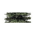 Δέντρο Black Tree 255εκ τύπου φυσικό