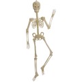 Κρεμαστός Πλακέ Διακοσμητικός Σκελετός Halloween Φωσφορίζων Κρεμαστός Πλακέ Διακοσμητικός Σκελετός Halloween Φωσφορίζων