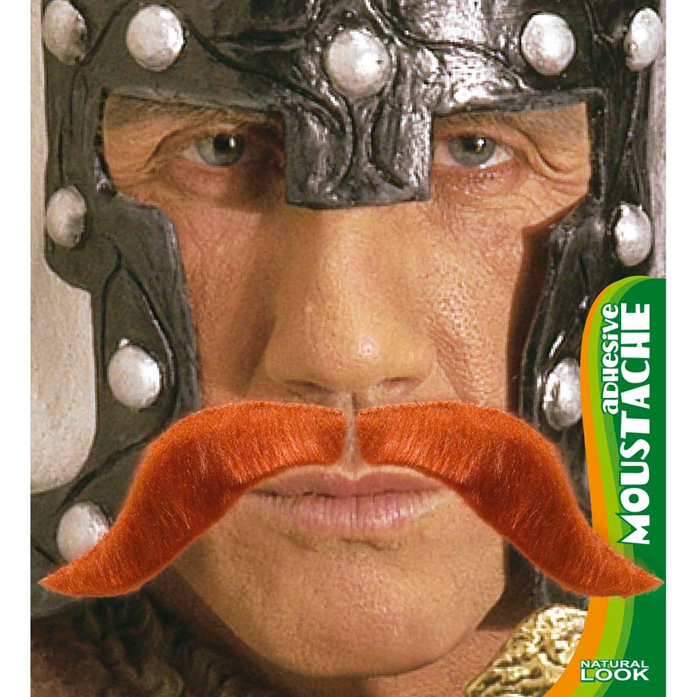 Μουστάκι Viking